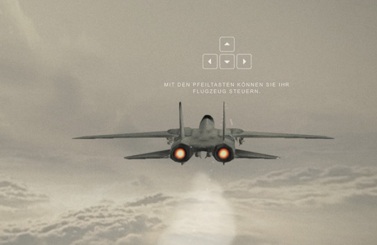 Flight Simulator